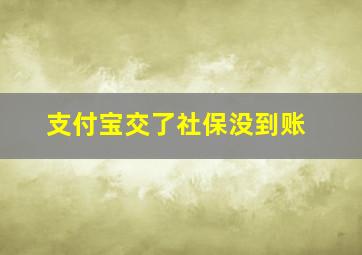 支付宝交了社保没到账