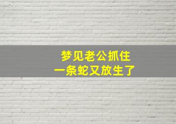 梦见老公抓住一条蛇又放生了