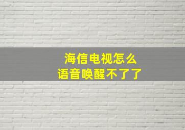 海信电视怎么语音唤醒不了了