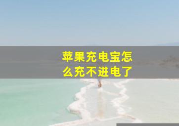 苹果充电宝怎么充不进电了