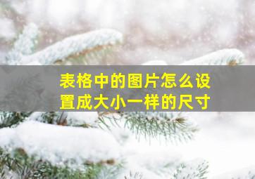 表格中的图片怎么设置成大小一样的尺寸