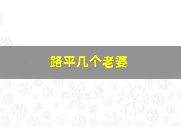 路平几个老婆