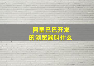 阿里巴巴开发的浏览器叫什么