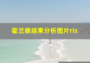 霍兰德结果分析图片ris